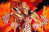 Enjoy The Carnival in Brazil